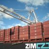 El hundimiento de un buque fletado por ZIM vuelve a poner el foco en la continuidad marítima